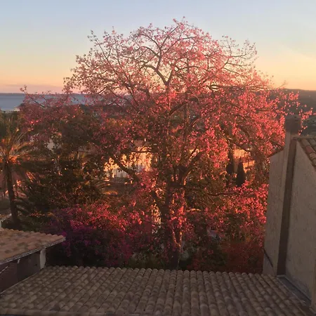 Studio Liege, Vue Mer Au Village De Bormes Les Mimosas Exterior foto