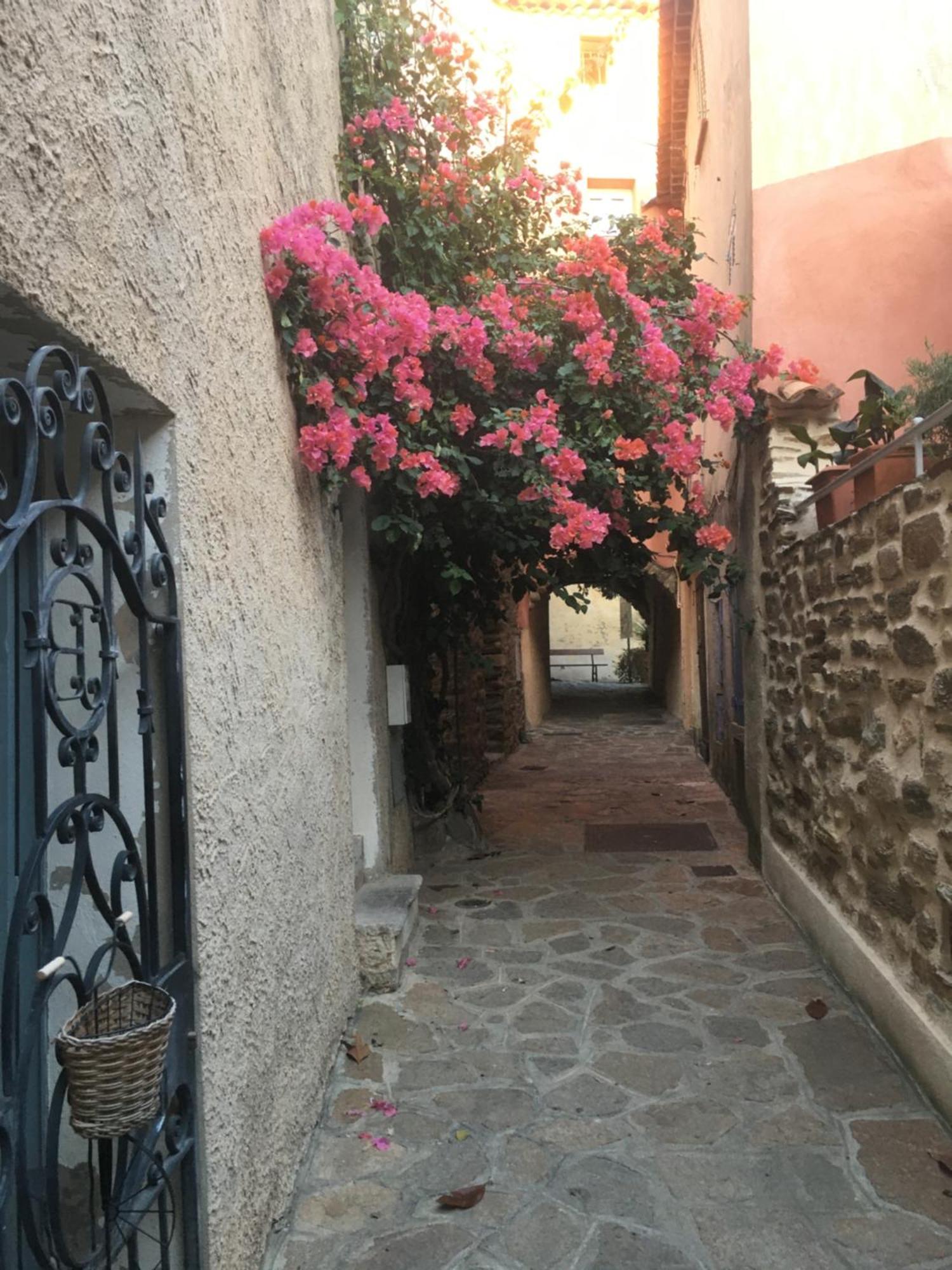 Liege, Vue Au Village De Les Mimosas Bormes-les-Mimosas