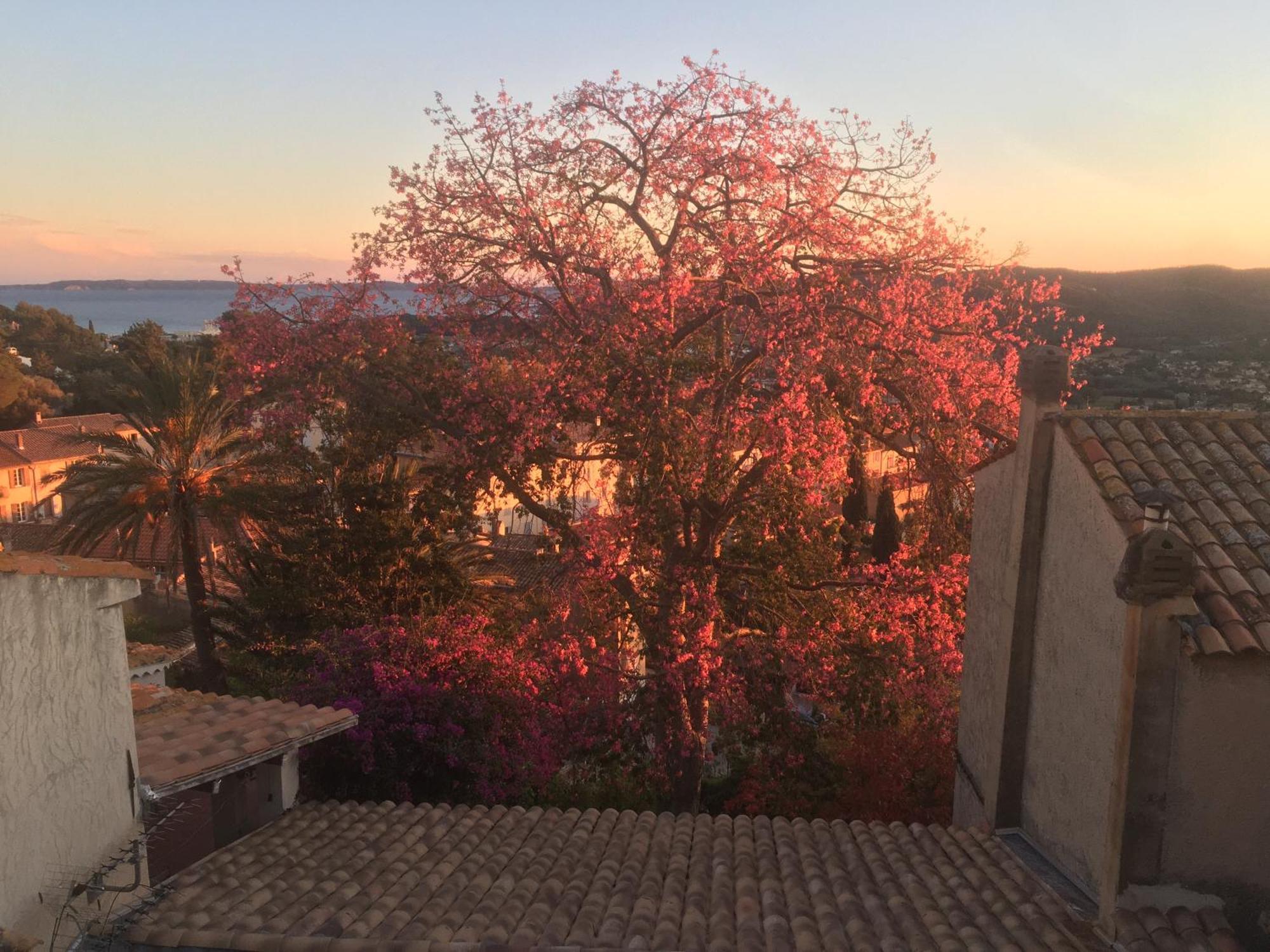 Apartamento Liege, Vue Au Village De Les Mimosas Bormes-les-Mimosas